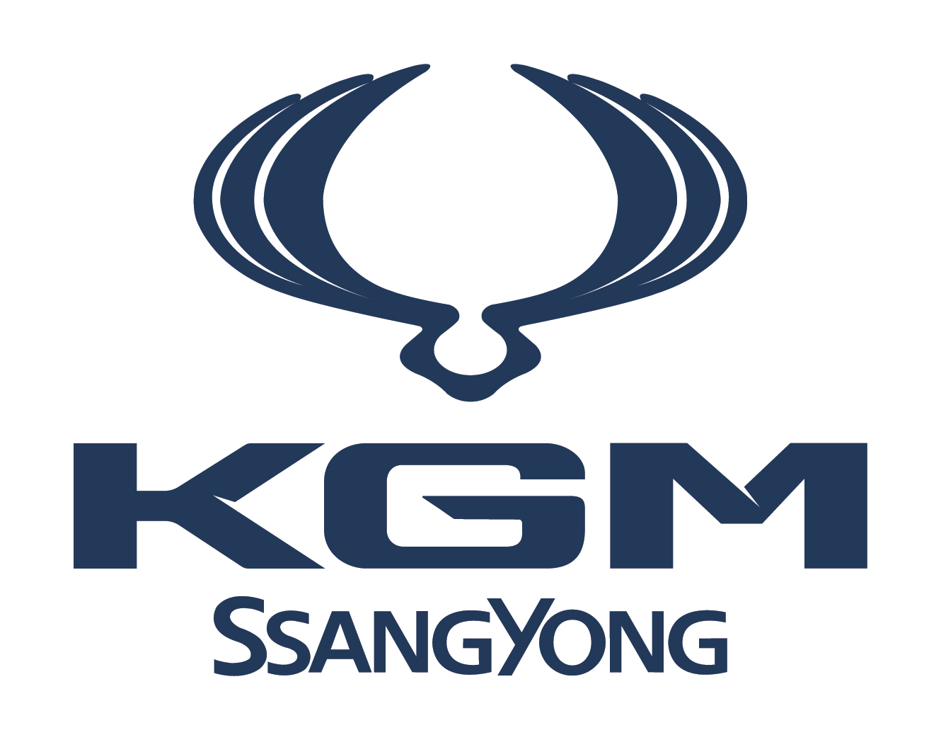 KGM x SY-03 resized